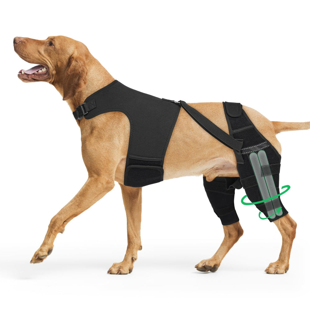 Turfson dog knee brace front view supports ACL stability during activity for dogs