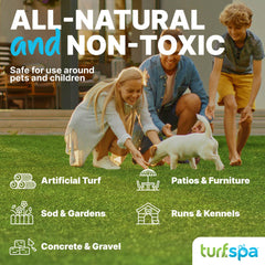 TurfSpa Turf Detox turf-area-after reveals odor-free turf