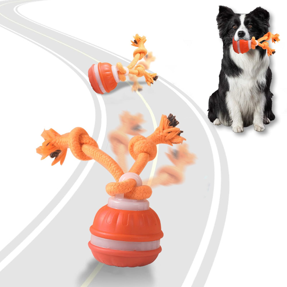 TVM Interactive Dog Ball with pumpkin design enhances seasonal gifting and daily engagement