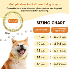 TVTOO gold-dog-collar-rhinestones-detail closeup highlights sparkly bling for photos.