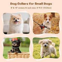 TVTOO precision-fit 10-inch collar ideal for tiny necks like Chihuahuas.