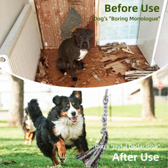 TwinkleTool Flirt Pole for medium dogs enhances training sessions