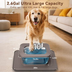 Twinsing no-spill dog water bowl with floating disk slows drinking for calmer hydration