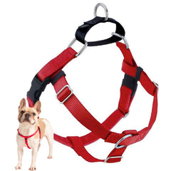 2 Hounds Design Freedom no-pull harness front view for easier, controlled walks.