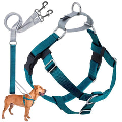 Two Hounds Design Freedom No Pull Harness teal on dog improves walk control