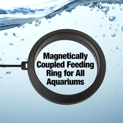 Two Little Fishies MagFeeder ring in aquarium setup demonstrating organized feeding