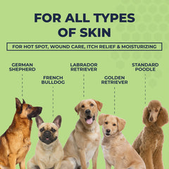 Two Pets and a Half Manuka honey dog care ingredients showcase natural healing benefits