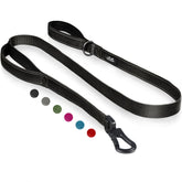 TwoEar 4ft-1in strong-black-dog-leash for durable daily walks