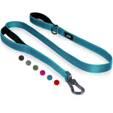 TwoEar 6ft blue dog leash with padded dual handles for comfortable daily walks.