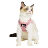 TwoEar cat harness escape-proof vest for secure outdoor walks.