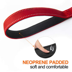 TwoEar reflective night safety leash improves visibility during dusk walks.