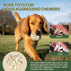 TwoEar tug of war rope toy set – ideal for fetch and bonding sessions