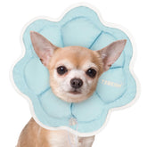 TZBEINN soft small dog cone closeup for gentle post-surgery recovery and comfort.