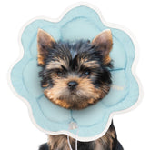 TZBEINN soft small dog cone front view shows gentle support for delicate recovery