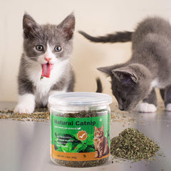 TZL Organic Cat Grass dried leaves offer natural texture for engaging play