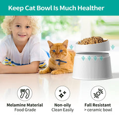 uahpet elevated cat bowl removable bowls shows easy disassembly for cleaning and prep