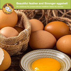 UCM Group 5lb dried BSFL treats in coop feeding scenario.