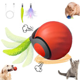 ugdurwp Speedy 2.0 tail cat ball for active indoor play and enrichment