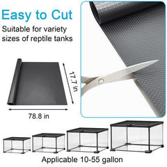 Uigidori bearded dragon setup featuring the mat for comfort