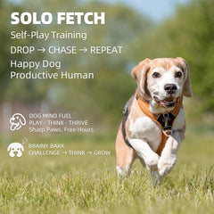 UJQW automatic dog ball launcher side view orange compact footprint for small spaces