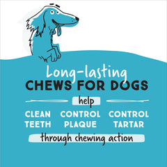 Ultra Chewy Double Treat Bones in action for aggressive chewers.