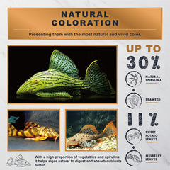 Ultra Fresh Algae Wafers feeding scene demonstrates sinking formula for bottom feeders enjoying a balanced diet.