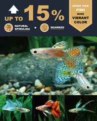Ultra Fresh spirulina and sword prawns color the guppies naturally.
