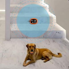 UltraCrab collar receiver highlights rechargeable unit designed for multi-pet homes.