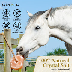 UMAID Himalayan salt lick rope goat delivers mineral boost for goats.