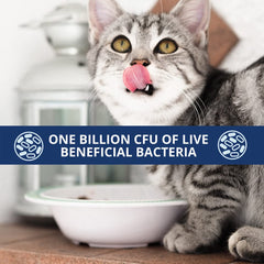 Under the Weather Cat Probiotics Powder label close-up highlighting natural ingredients