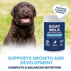 Under the Weather goat milk powder for dogs supports gentle digestion and nutrient absorption.