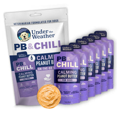 Under the Weather PB CHILL squeeze-packs provide portable calming support for dogs on the go.