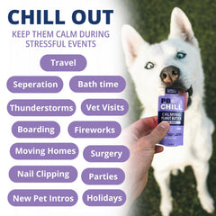 Under the Weather PB CHILL xylitol-free label signals safe, sugar-free calming rewards.