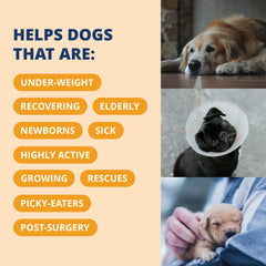 Under the Weather Ready Cal Plus Gel packaging—US-made, veterinarian-approved nutrition for dogs and puppies.