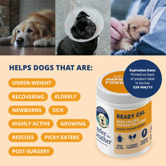 Under the Weather Ready Cal powder ingredient label close-up for vitamins and minerals
