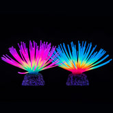 Uniclife rainbow urchin ornament glowing under tank lights for vibrant decor