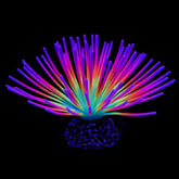 Uniclife rainbow sea urchin ball ornament adds vibrant color to aquarium scenery.