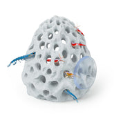 Uniclife Shrimp Cave with coral rock design offers a natural hideout for shrimp.