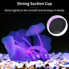 Uniclife suction cup keeps the ornament securely positioned on tank walls.