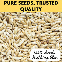 Unida Alpiste seed bag sealed demonstrates freshness preservation