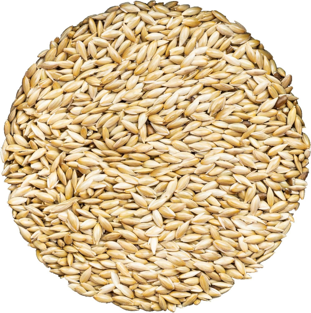 Unida Alpiste Canary Seed packaging shows resealable bag for fresh daily feeding