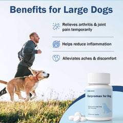 Unipomme Carpromax tablets on a tray illustrating daily joint support for large dogs.