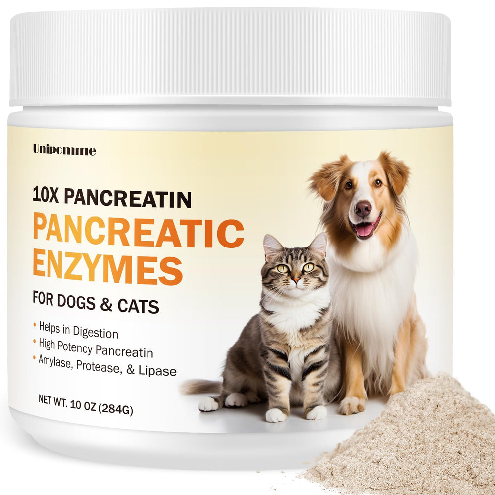 Unipomme Pancreatic Enzymes for Dogs bottle close-up supports easy supplementation at mealtime