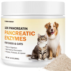Unipomme Pancreatic Enzymes for Dogs bottle close-up supports easy supplementation at mealtime