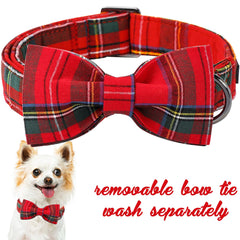 Unique Style Paws bowtie-collar attachment shows elastic connect for secure wear