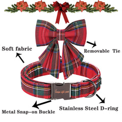 Unique style paws dog collar buckle and D-ring close-up: reinforced durability.