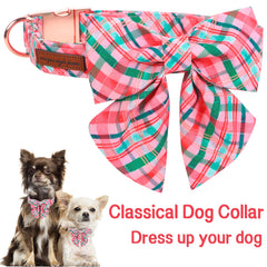 Unique Style Paws collar with detachable tie demonstrating easy DIY styling options