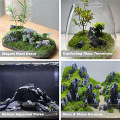 Unocho Seiryu Rock plant adhesion enables lush greens in tanks.