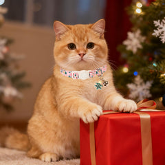 UP URARA PUP cat collar with bell for easy locating your cat