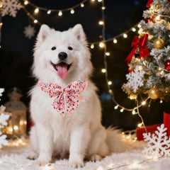 UP URARA PUP soft nylon material, delivering durability with gentle texture for everyday wear